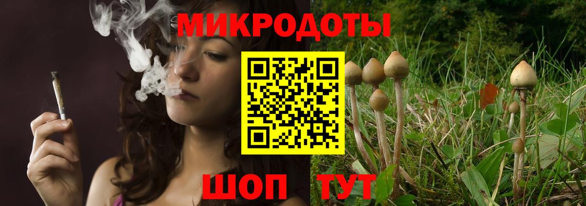 Псилоцибиновые грибы Psilocybe  Вход с VPN  Псков  Галлюциногенные грибы мицелий 